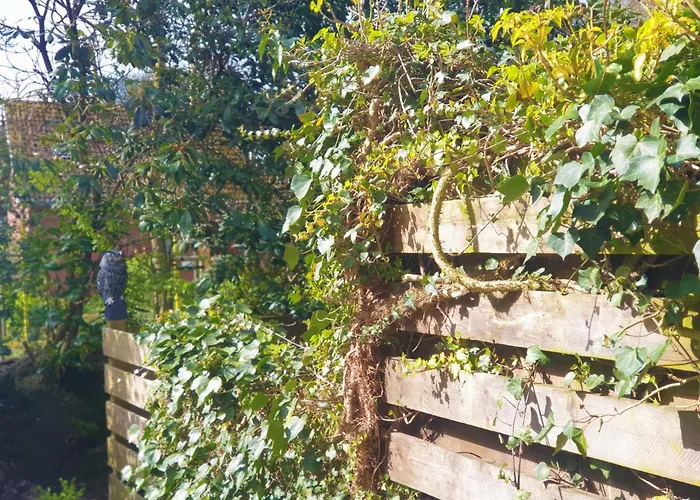 度假居 Haus Mellum 75 Qm, An Der Rennweide 26c *